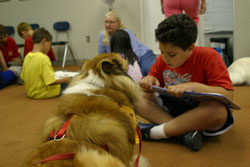therapy dogs in action with kids