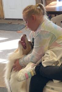 Therapy Dog Classes